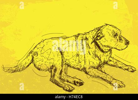 Resting Dog  Sketchy, hand drawn resting dog over an abstract background. Stock Vector