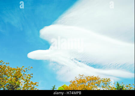 this interesting cloud looks like a bird or something else... Stock Photo