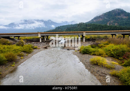 A braided shallow stream runs beneath a concrete highway bridge with yellow autumn shrubs and low cloud over forested hills in Washington. Stock Photo