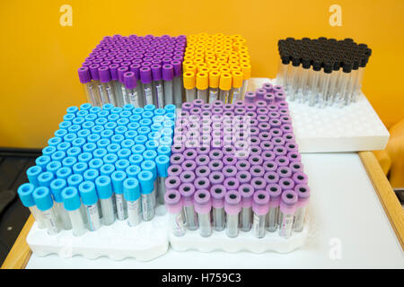 Empty blood exam medical tubes. Rack with test tubes scientist and equipment technical in chemical lab. Tubes prepared for centr Stock Photo