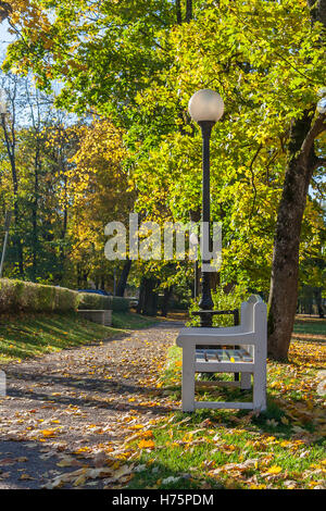 A wooden park bench and a street lantern under the autumn trees Stock Photo