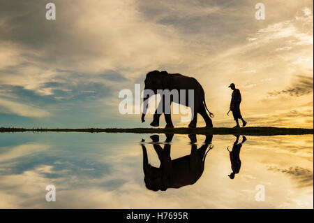 Silhouette of a mahout man walking with his elephant, Thailand Stock Photo
