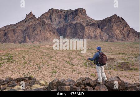 Hiker standing in Front of Signal Peak and Palm Canyon, Kofa National Wildlife Refuge, Arizona, United States Stock Photo