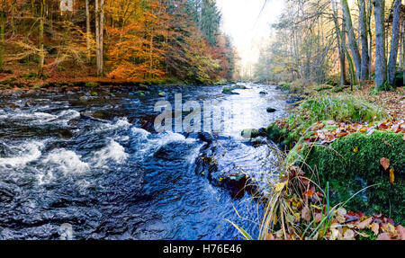 Fluss Ilz im Bayerischen Wald,River Ilz in the Bavarian Forest Stock Photo