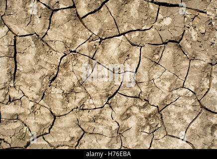 Cracked ground,Dry land. Cracked ground background,Dry cracked ground filling the frame as background Stock Photo