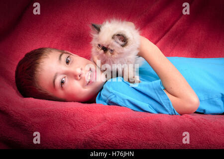 A young, two month old Blue Point Himalayan Persian kitten playing with an 8 year old cute boy on a red comforter Stock Photo