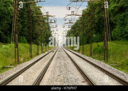 Two Parallel Tracks Image Two parallel railroad tracks converging on the horizon Stock Photo - Alamy