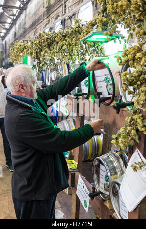 England, Tunbridge Wells. CAMRA beer and ale festival. Mature man standing and pouring a pint of beer from beer barrel, cask, among many other barrels. Stock Photo