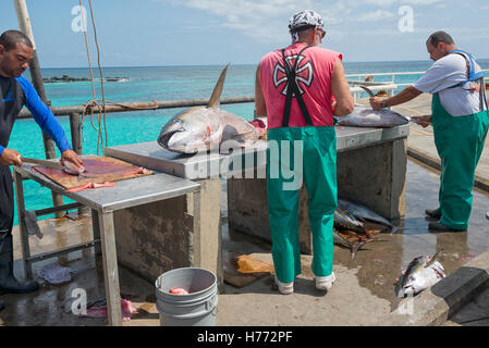 Ascension island wharf, men butchering fresh landed yellowtfin tuna and line  caught fish Stock Photo