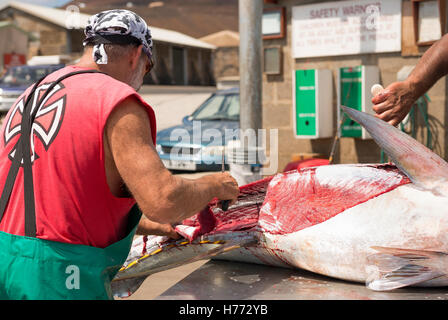 Ascension island wharf, man butchering fresh landed yellow fin tuna which has been line caught by sportfishing Stock Photo