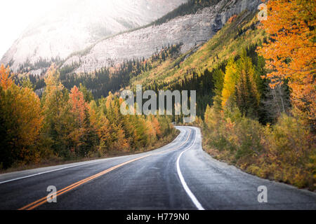 treelined road through Canadian rockies, Alberta, Canada Stock Photo