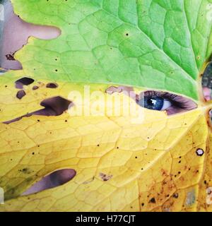 Girl looking through a hole in an autumn leaf Stock Photo