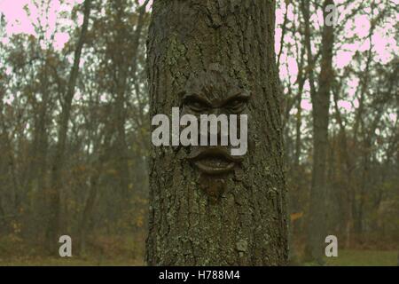 Black Oak Tree Face in Osceola County, Michigan Stock Photo