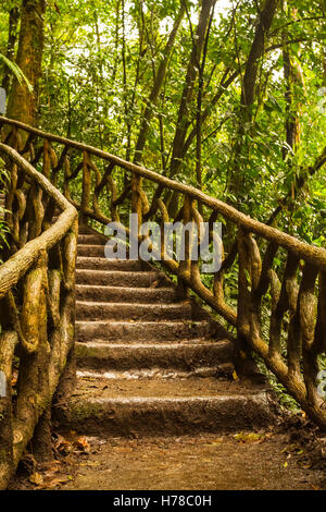 stairs in concrete wet and muddy in rain-forest forming an arch Stock Photo