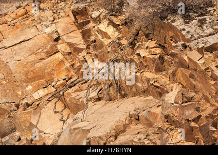 Mountain limestone rocks texture closeup. Background. Troodos. Cyprus. Stock Photo