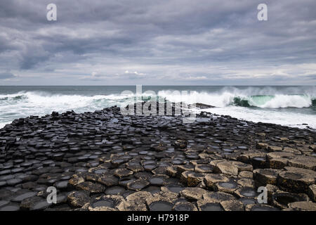 Giants Causeway on the north Antrim coast in Ulster, Ireland. Stock Photo