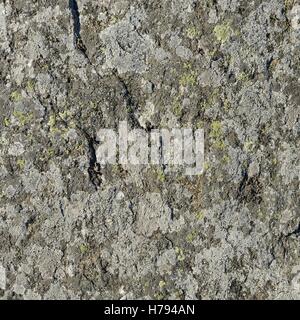 Texture stone mold Stock Photo