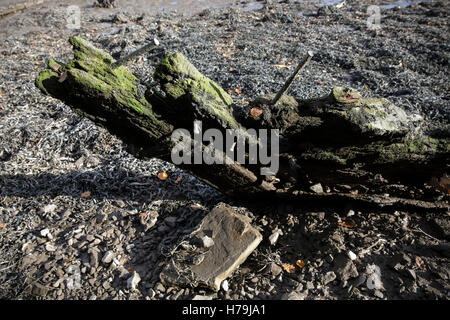 bow of old boat in silted creek of river Dart at Stoke Gabriel,britain, inspirational, river, travel, scenery, gabriel, village, Stock Photo