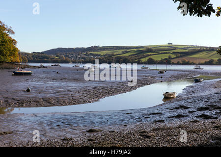 silted creek of river Dart at Stoke Gabriel,britain, inspirational, river, travel, scenery, gabriel, village, england, creek, en Stock Photo