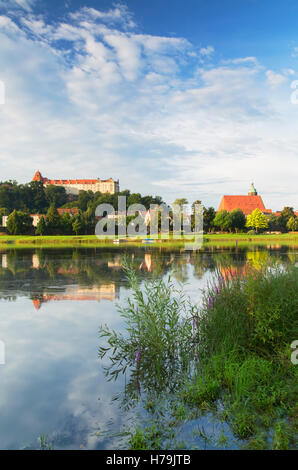 View of River Elbe and Pirna, Saxony, Germany Stock Photo