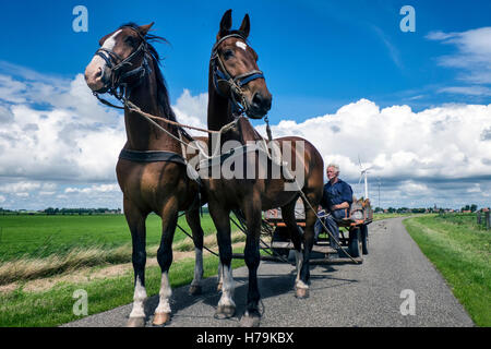 Horse and Carriage in the Netherlands Stock Photo