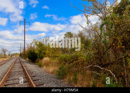 View of the railway receding into the distance through the trees. Overcast sky, Stock Photo