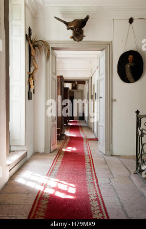 Red carpet runner in hallway of corridor in 18th century Chateau de Cussigny, Cote d'Or, Bourgogne, France Stock Photo
