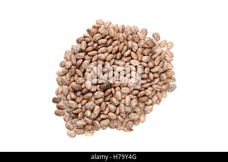 top view pinto bean Stock Photo