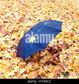 Lonely black umbrella left on the ground which is covered with yellow maple leaves at autumn. Stock Photo