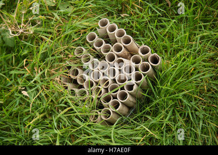 The spent cardboard tubes case of a set to rocket fireworks on the grass after a bonfire night display, UK Stock Photo