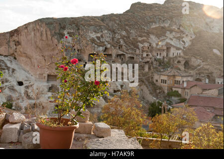 Rose on terrace of hillside in Urgup, with view of cave dwellings. Cappadocia in Nevsehir Province, Turkey Stock Photo
