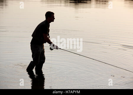 Man fly fishing, Houghton's Pond, Milton, Massachusetts Stock Photo - Alamy