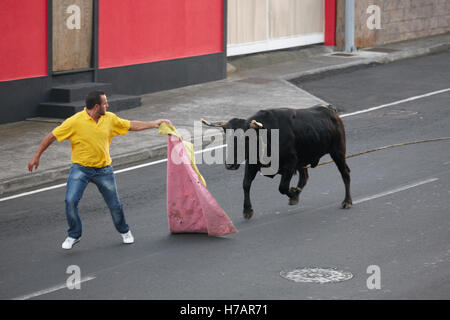 Traditional azores bullfighting feast in Terceira. Portugal. Touradas a corda. Horizontal Stock Photo