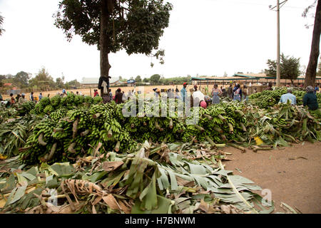 Huge bunches of bananas for sale at side of road near Meru Kenya Stock Photo