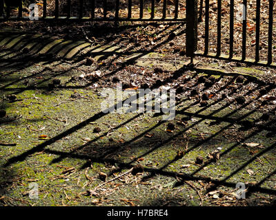 Shadows of open iron gates  on mossy entrance way with pine cones and leaf litter Stock Photo