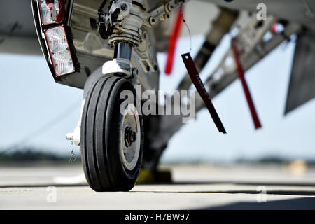 F16 Fighting Falcon aircraft detail with landing gear Stock Photo