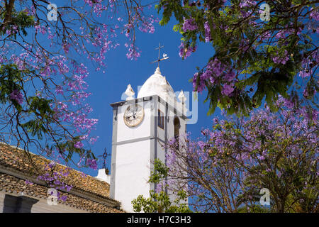 Portugal, the Algarve, Moncarapacho village church clock tower and jacaranda tree in flower Stock Photo