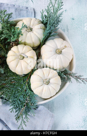 Holiday table decoration with white decorative pumpkins and thuja branches on blue textile napkin over white wooden background. Stock Photo