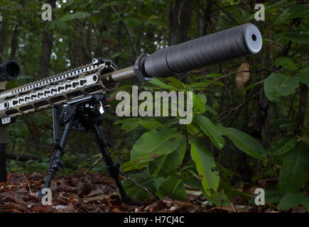 Semi automatic rifle on a bipod with a dark background Stock Photo - Alamy