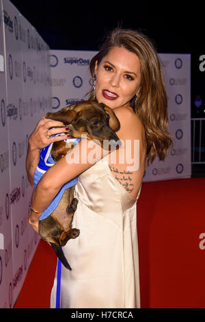 Danielle Lineker attends the Collars & Coats Gala Ball, fundraising for Battersea Dogs and Cats Home, at Battersea Evolution in London. Stock Photo