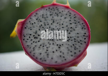 Dragon fruit, Pattaya, Thailand, South East Asia Stock Photo