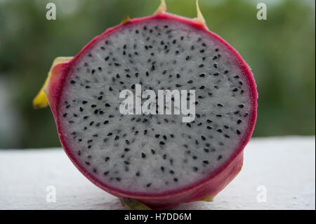 Dragon fruit, Pattaya, Thailand, South East Asia Stock Photo