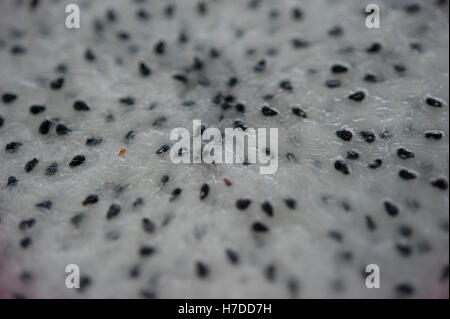 Dragon fruit, Pattaya, Thailand, South East Asia Stock Photo