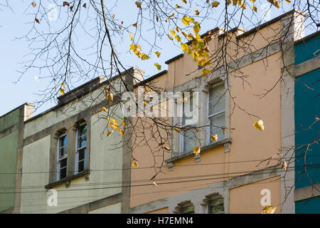 Coloured terrace in Bristol with autumn leaves Stock Photo