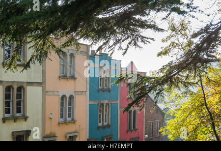 Victorian terrace of coloured housing in Bristol in autumn Stock Photo