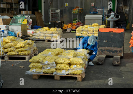 Worker packing vegetables at the New Covent Garden vegetable and fruit market. Vauxhall, London, UK Stock Photo
