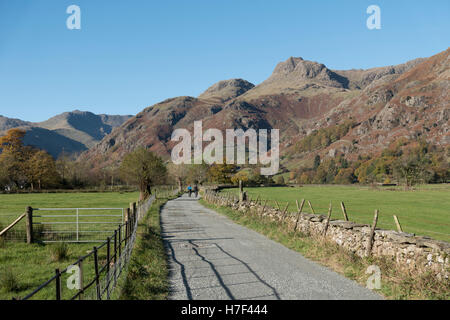 A couple cycling in the Langdale Valley, Lake District, UK. Stock Photo