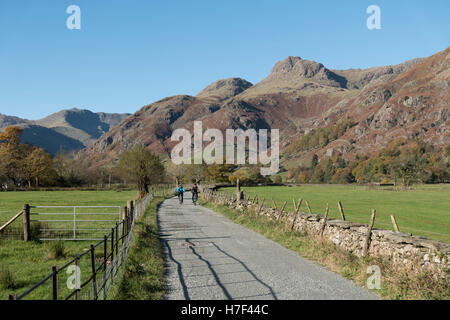 A couple cycling in the Langdale Valley, Lake District, UK. Stock Photo