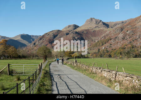 A couple cycling in the Langdale Valley, Lake District, UK. Stock Photo