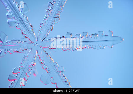 Snowflake magnified under microscope Stock Photo